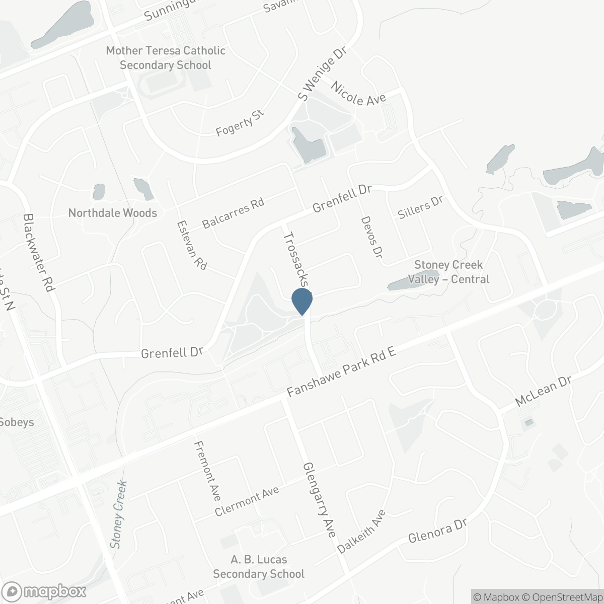 89 MCTAGGART COURT, London, Ontario N5X 3L9